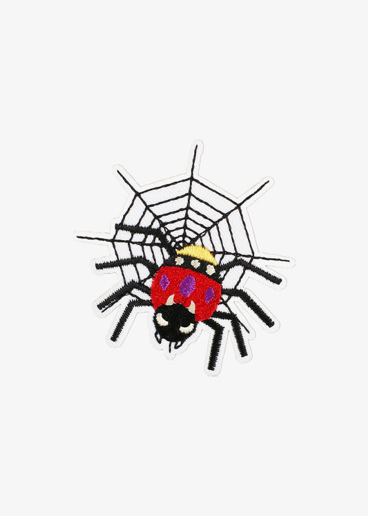 Spider on Web patch