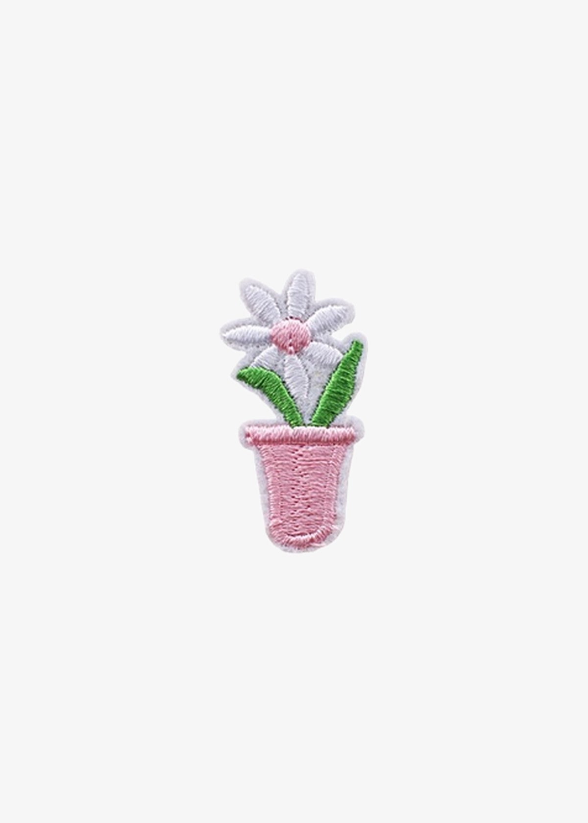 Potted Daisy patch