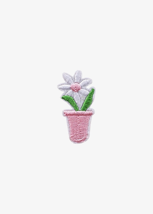 Potted Daisy patch